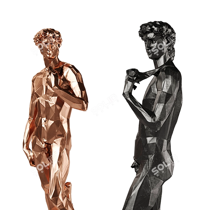 Copper Black Tall-Edged David 3D model image 3