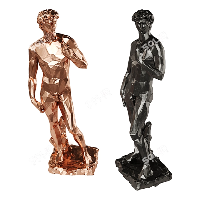 Copper Black Tall-Edged David 3D model image 4