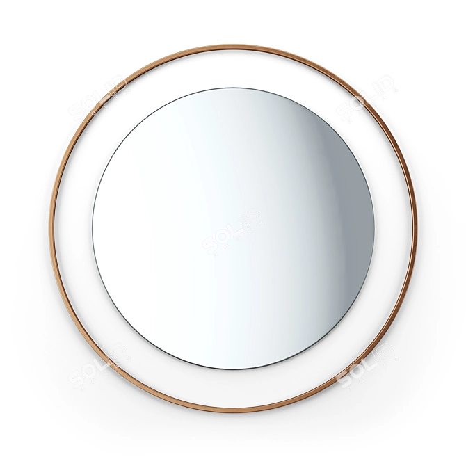 Luxury Round Hanging Mirror with Decorative Metal Frame and Built-in Lighting 3D model image 2