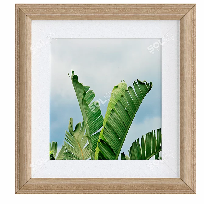  Delux Frame Collection - 12 Designs 3D model image 2