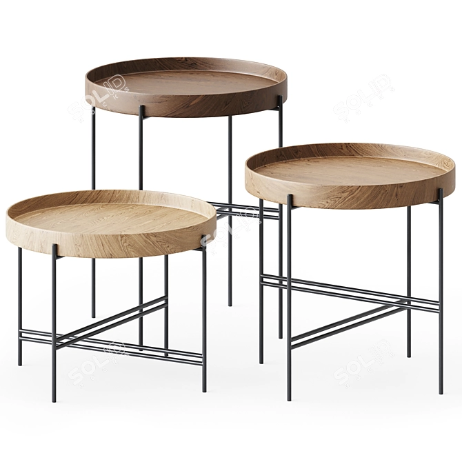 Potocco Wooden Round SideTables Tray 3D model image 1