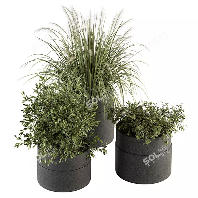 Lush Indoor Plant Set with 250 Varieties 3D model image 1