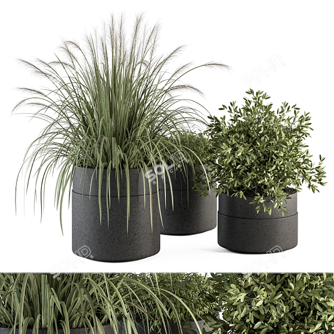 Lush Indoor Plant Set with 250 Varieties 3D model image 2