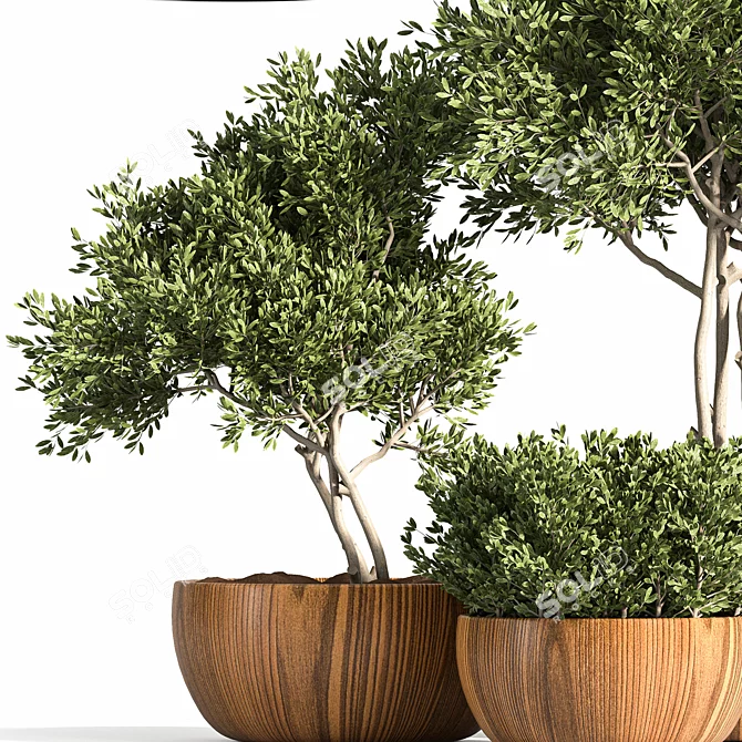 Rustic Trio: 3 Shrubs in Wooden Pot 3D model image 4