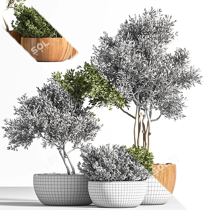 Rustic Trio: 3 Shrubs in Wooden Pot 3D model image 5