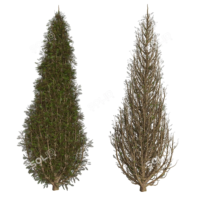 Tree 2: Versatile 3D Model 3D model image 1