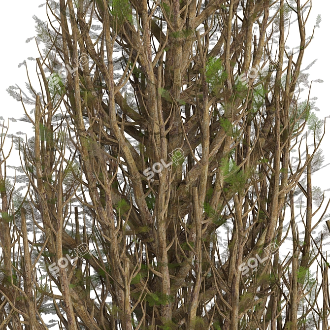 Tree 2: Versatile 3D Model 3D model image 2