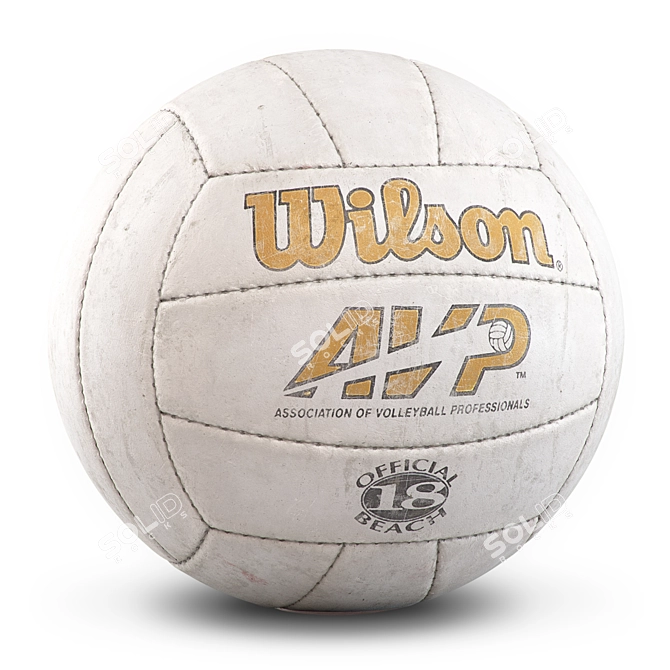 Wilson Cast Away Ball 3D model image 3