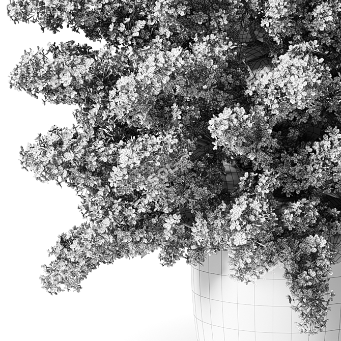 Elegant Pink and White Lilacs 3D model image 2