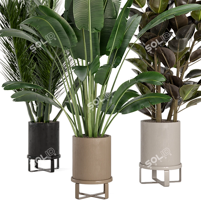 Ferm Living Bau Pot: Large Indoor Plant Set 3D model image 2