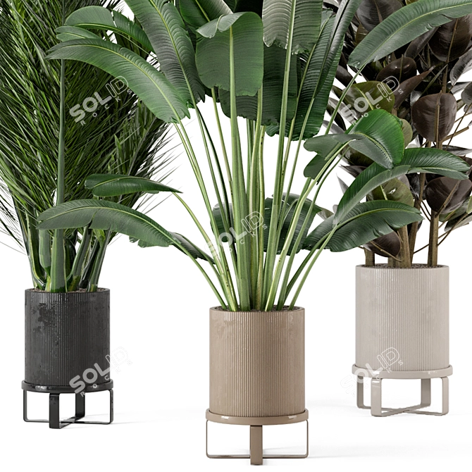Ferm Living Bau Pot: Large Indoor Plant Set 3D model image 4