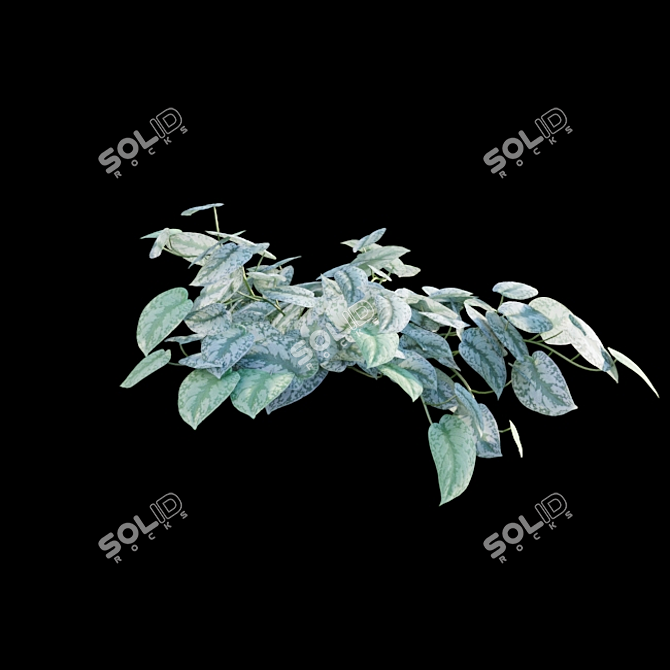 Title: Scindapsus Satin Pothos - Indoor Plant 3D model image 4