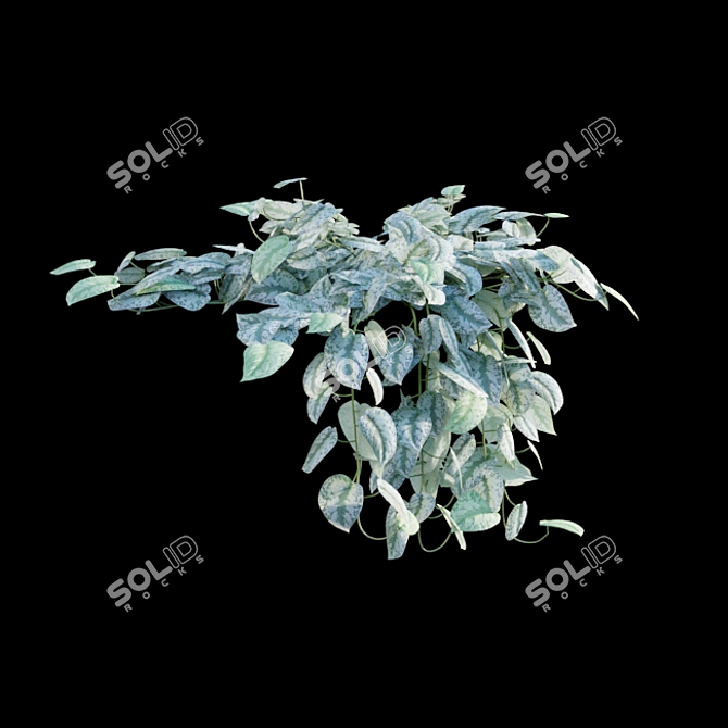 Title: Scindapsus Satin Pothos - Indoor Plant 3D model image 7