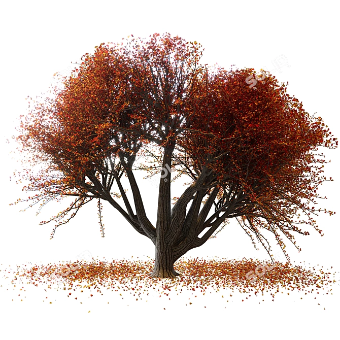 Autumn Vibes Maple Tree 3D model image 1