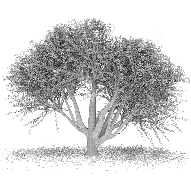 Autumn Vibes Maple Tree 3D model image 3