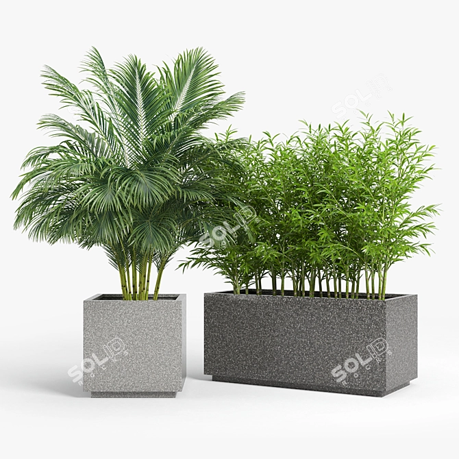 Modern Gray Rectangular Planter 3D model image 2