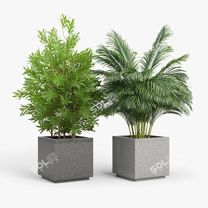 Modern Gray Rectangular Planter 3D model image 6