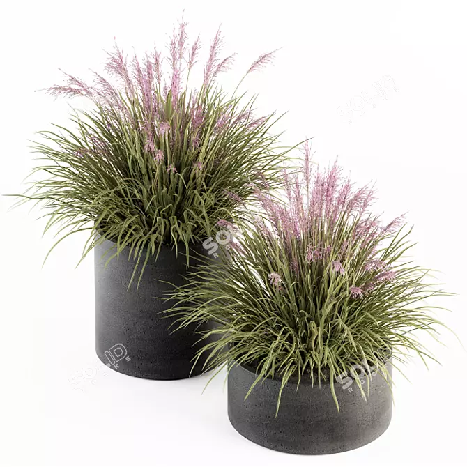 Grassy Delight: Outdoor Plant Set 3D model image 1