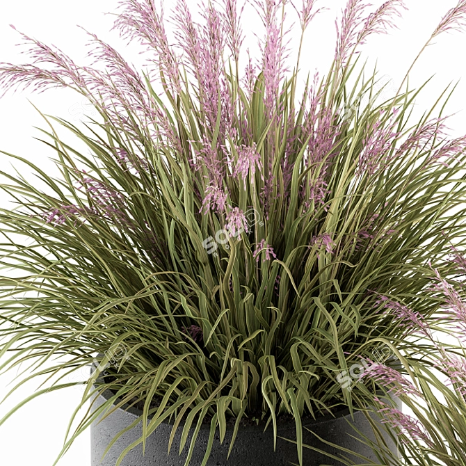 Grassy Delight: Outdoor Plant Set 3D model image 3