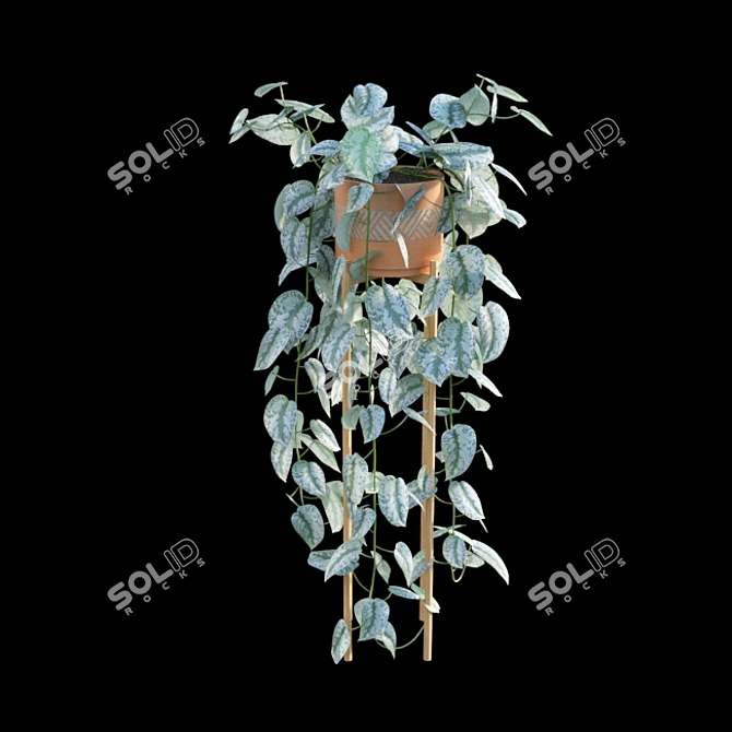Tropical Charm: Scindapsus Pictus Satin Pothos 3D model image 5