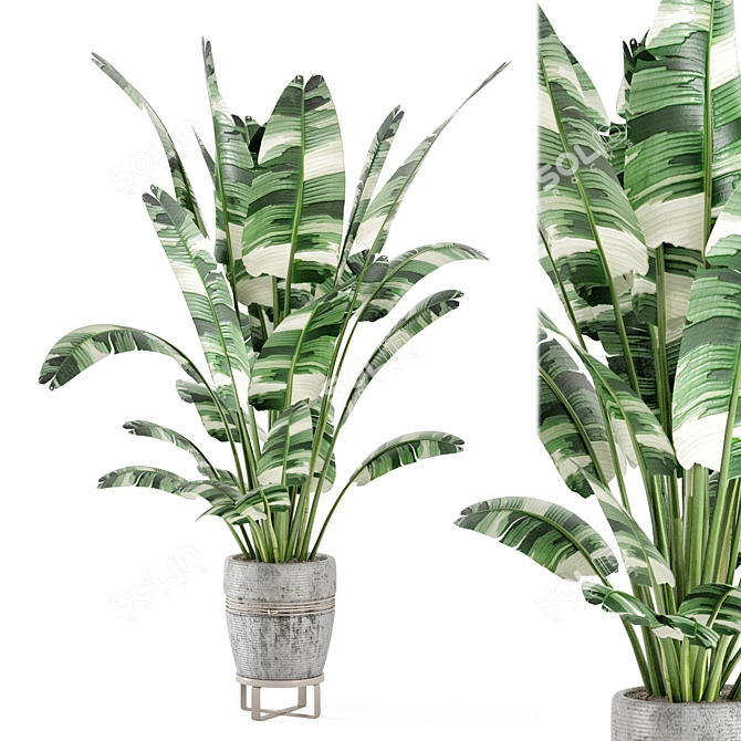 Rustic Indoor Plant Set - Concrete Pot 3D model image 1