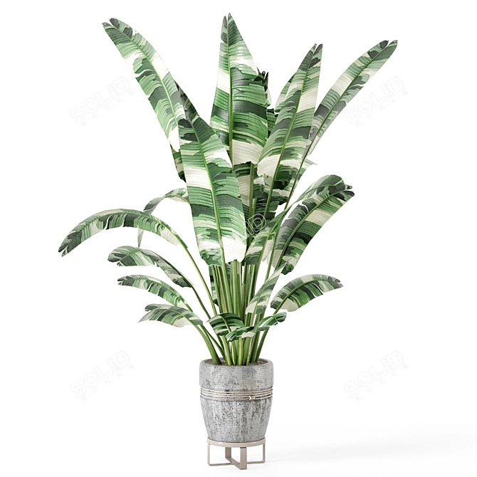 Rustic Indoor Plant Set - Concrete Pot 3D model image 6