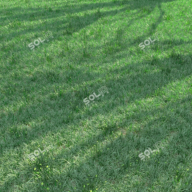 Lush Green Landscape Delight 3D model image 1