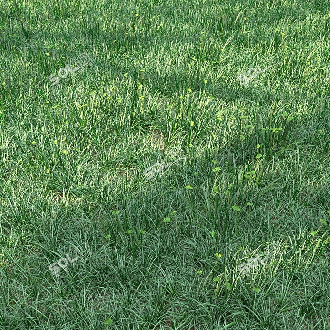 Lush Green Landscape Delight 3D model image 2