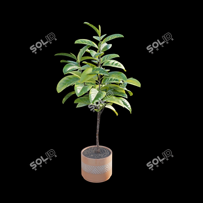 Ficus benghalensis 3D Model Set 3D model image 5