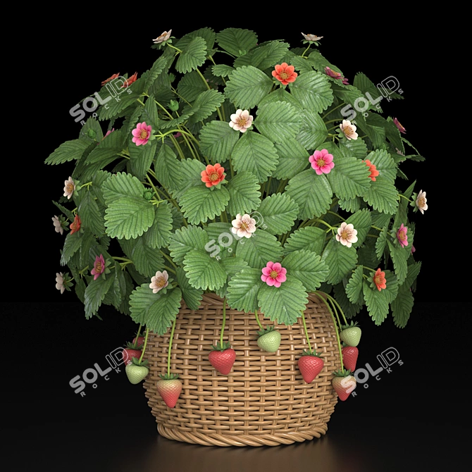 Indoor Strawberry Plant: Fresh, Tasty, and Convenient! 3D model image 1