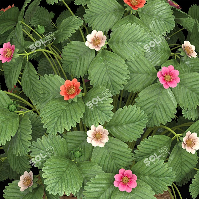 Indoor Strawberry Plant: Fresh, Tasty, and Convenient! 3D model image 6