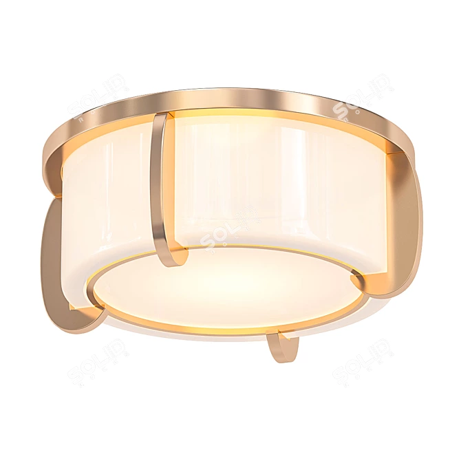 Vintage Talon Brass Ceiling Light 3D model image 1