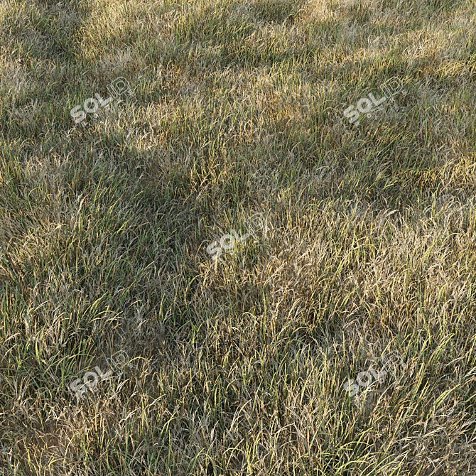 Grass Collection 6: Low Poly 3D Scattered Art 3D model image 1