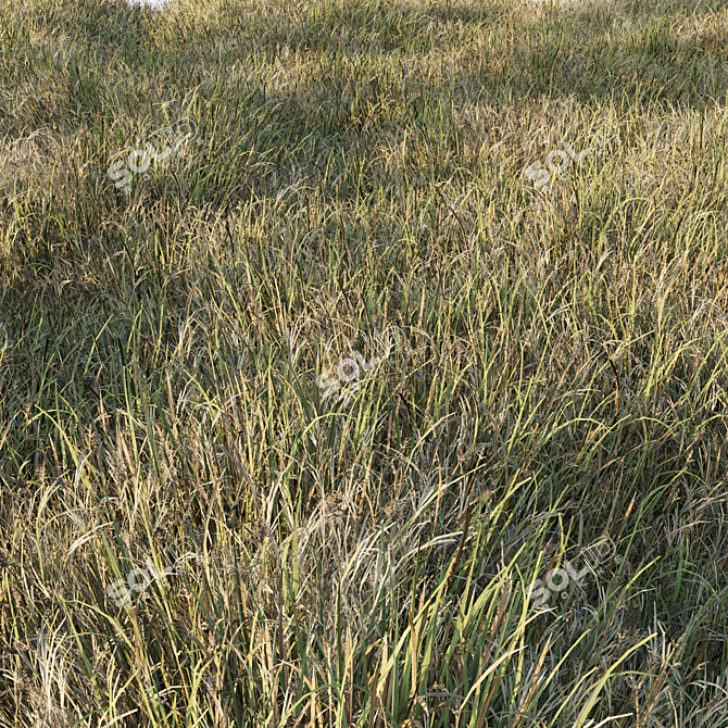 Grass Collection 6: Low Poly 3D Scattered Art 3D model image 2