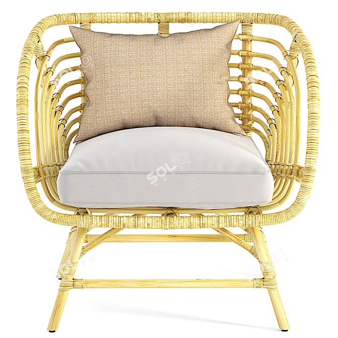 Natural Rattan Armchair: IKEA BUSKBO 3D model image 2