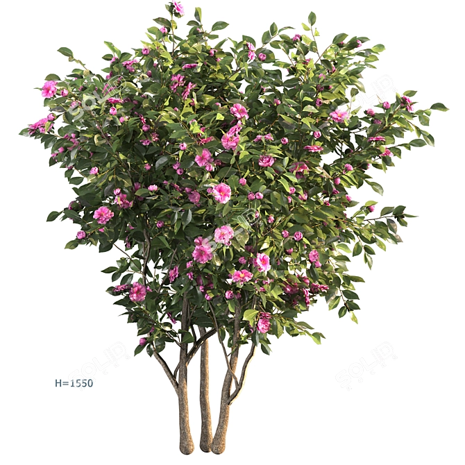 Elegant Floral Sculpture: Camellia_03 3D model image 1