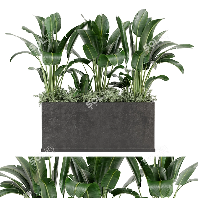 Concrete Pot Outdoor Plants Set 3D model image 2