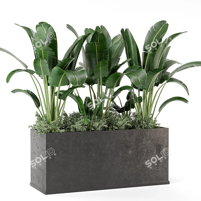 Concrete Pot Outdoor Plants Set 3D model image 3