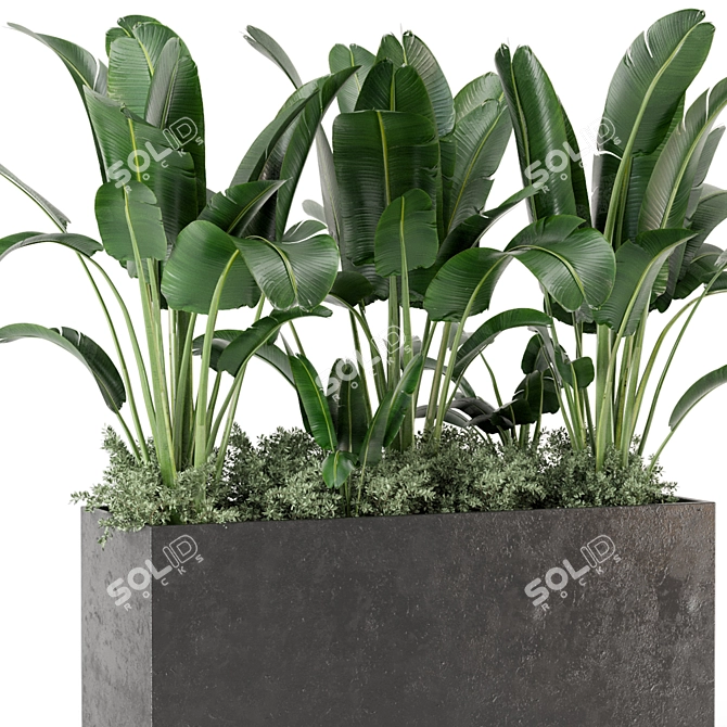 Concrete Pot Outdoor Plants Set 3D model image 5