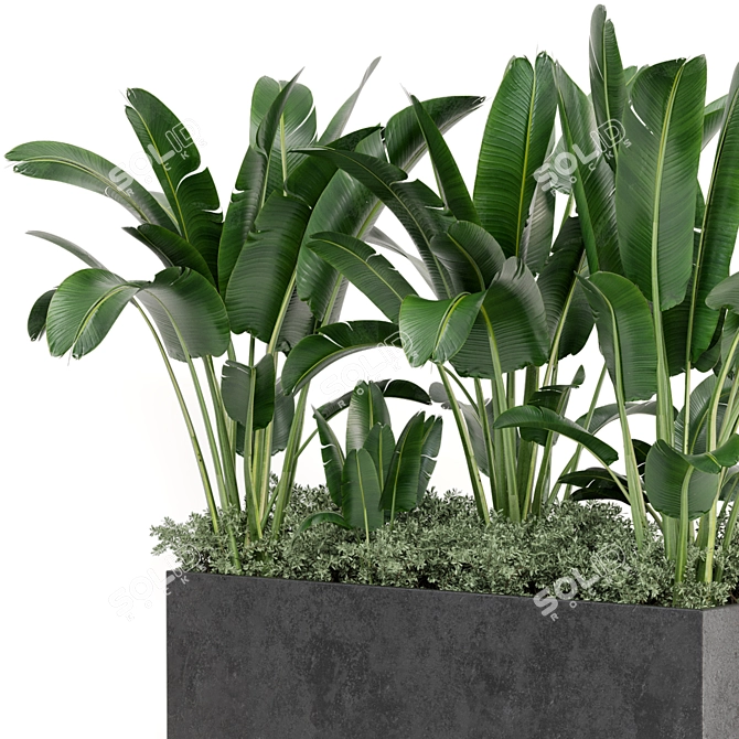 Concrete Pot Outdoor Plants Set 3D model image 6