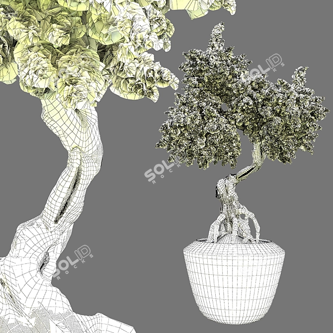 Bonsai Vol 05: Exquisite Bonsai Tree Design 3D model image 2