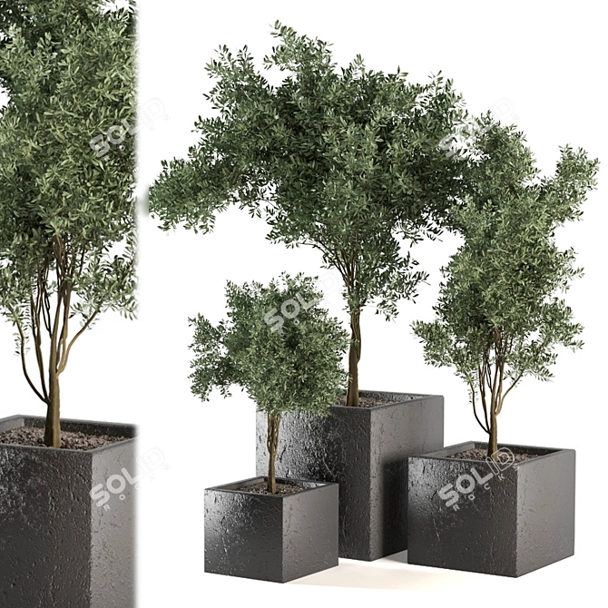 Green Oasis Outdoor Plant Set 3D model image 1