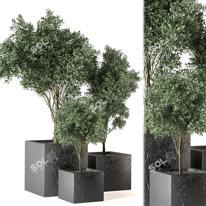 Green Oasis Outdoor Plant Set 3D model image 2