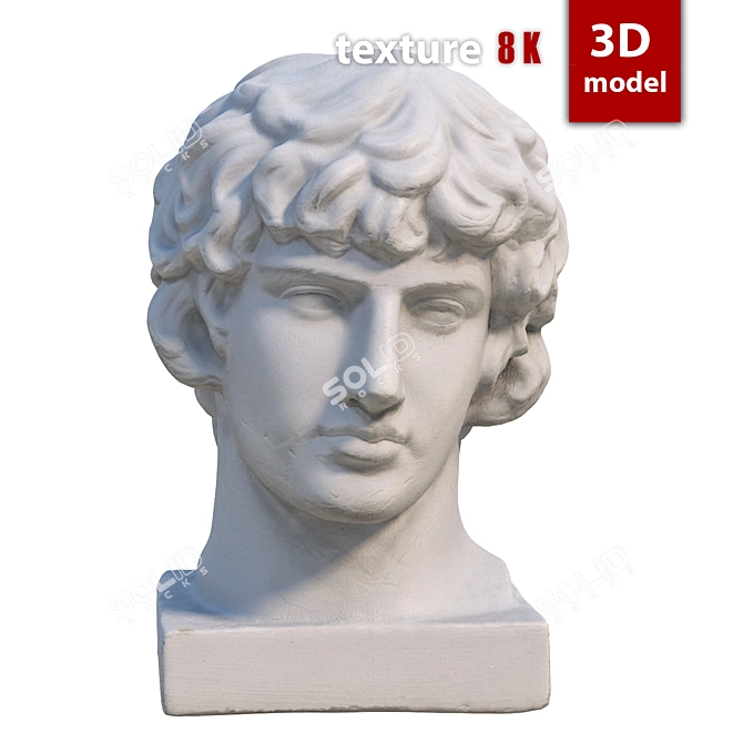 Title: Antinous Gypsum Head Replica 3D model image 1