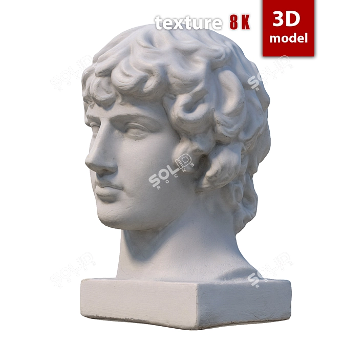 Title: Antinous Gypsum Head Replica 3D model image 2