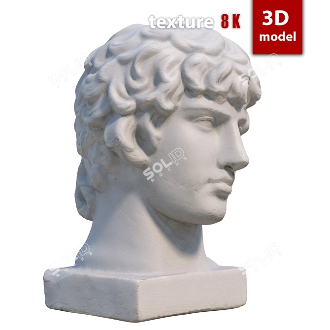 Title: Antinous Gypsum Head Replica 3D model image 3