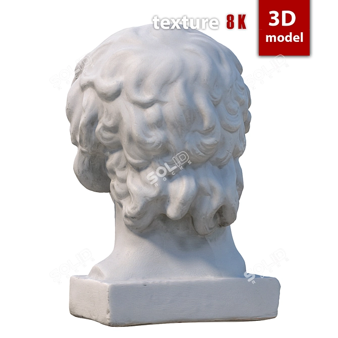 Title: Antinous Gypsum Head Replica 3D model image 5