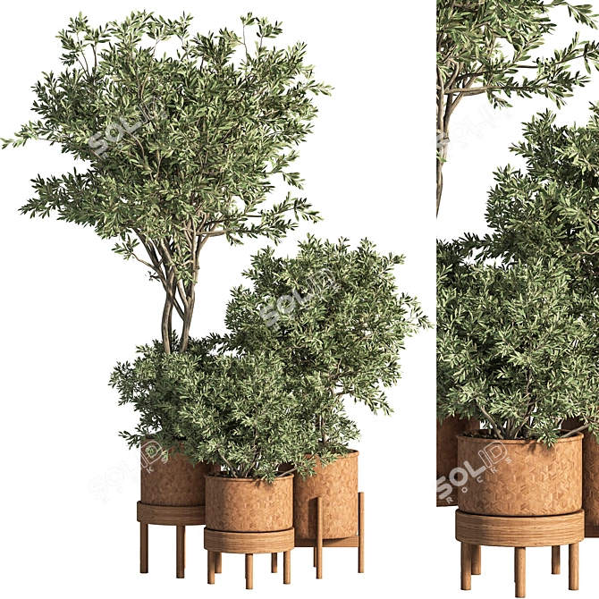 Green Oasis: Indoor Plant Set 44 3D model image 1