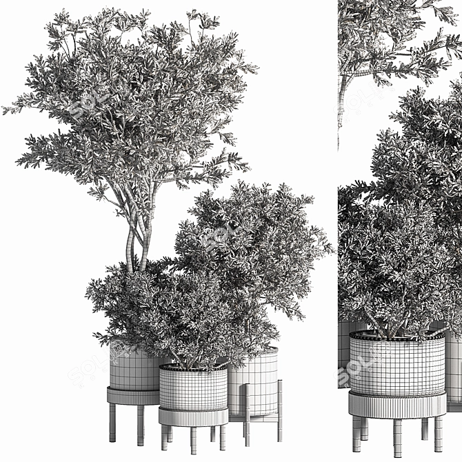Green Oasis: Indoor Plant Set 44 3D model image 4