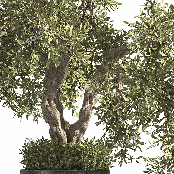 Breathe Life with Interior Bonsai 3D model image 2